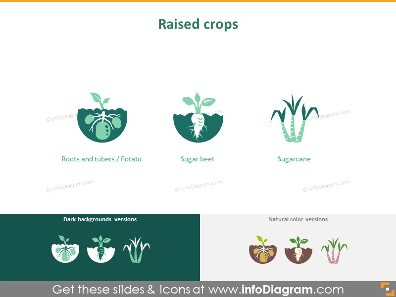 Raised crops