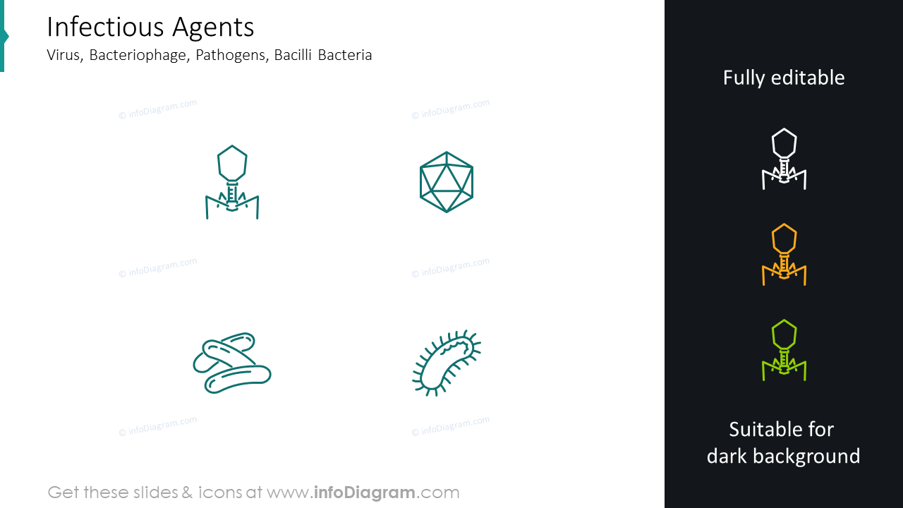 Infectious agentsvirus icons: bacteriophage, pathogens