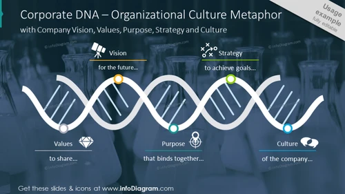 Organizational culture metaphor illustrated with DNA diagram