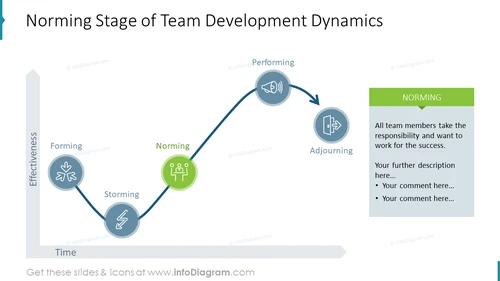 Norming stage of team development dynamics illustrated with the vivid icon