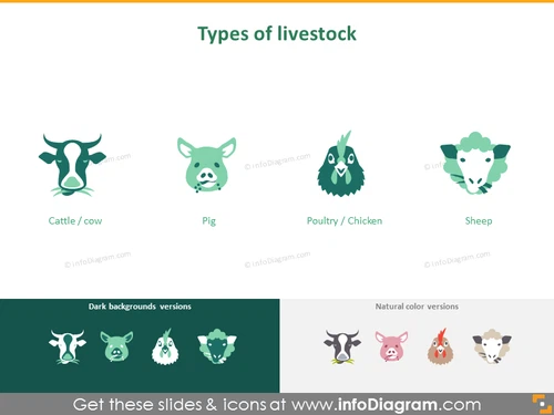Animal husbandry and fishery: types of livestock