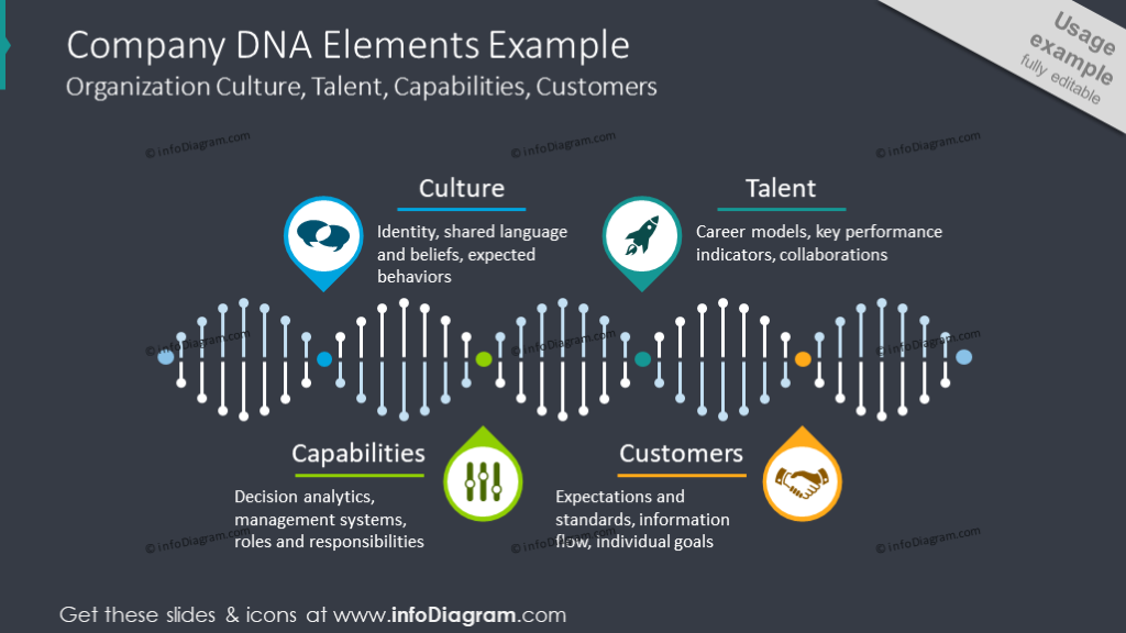 Company DNA chart illustrating company's culture and customers