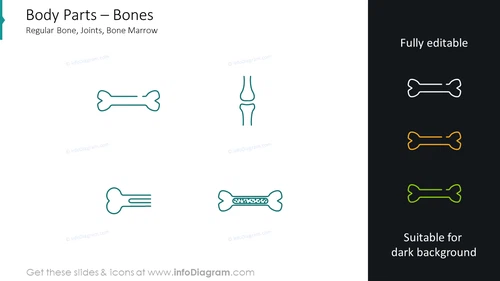 Bones icons: regular bone, joints, bone marrow